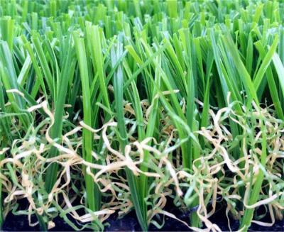 China Field / Olive Green Playground Artificial Turf False Grass Lawns Anti-UV for sale