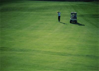 中国 高い摩耗抵抗のゴルフ人工的な草のカーペットの家の屋外のゴルフ パット用グリーン 販売のため
