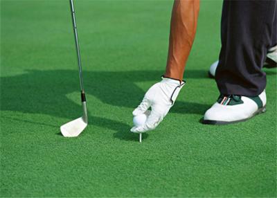 China Relvado artificial da falsificação da grama do golfe feito sob encomenda da exposição da jarda do gramado favorável ao meio ambiente à venda