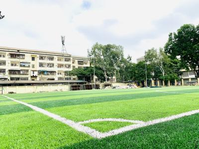 China 65mm Cesped Artificial Grass Football Turf Synthet Turf Soccer Synthetic Carpet Grass for sale