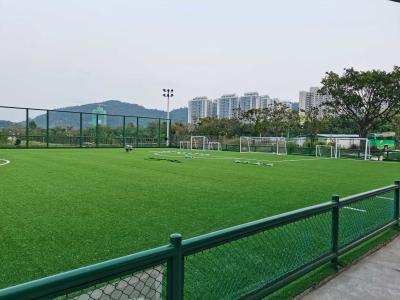 China 70mm Soccer Synthetic Turf Artificial Grass & Sports Flooring for sale