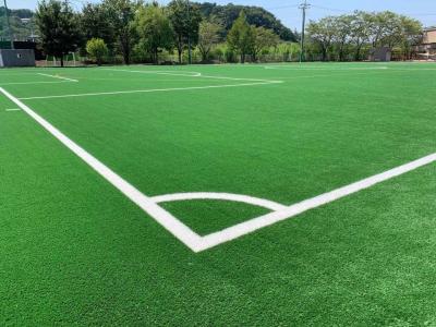 China FIFA Approved Football Soccer Artificial Grass Soccer Turf Carpet for sale