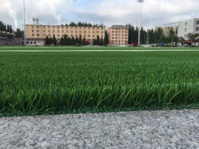 China Woven Backing Soccer Turf Grass Aritificial For Football Field for sale