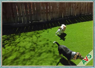China 35 MM Friendly UV  Resistance Pet Artificial Turf / Synthetic Grass For Dog Playing for sale
