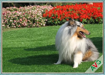 China Anti Bacterial Soft Permeable Fake Green Grass Pet Grass Field Green Color for sale