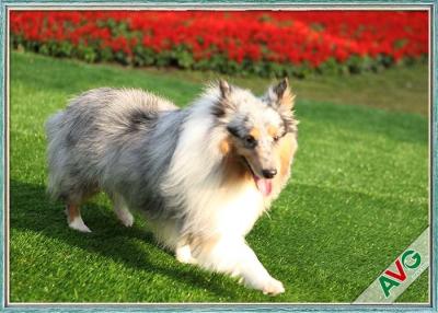 China UV Resistant Dog Pet Artificial Turf / Synthetic Grass Eco Friendly Installation for sale