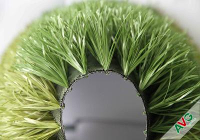 China Tweekleurig Voetbal Kunstmatig Gras met Stam Drie van Dichte Oppervlakte en omhoog Recht Bevindend Garen Te koop