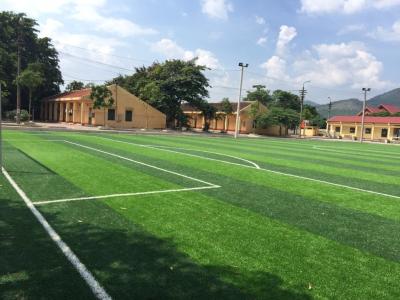 China PE Voetbal Kunstmatig Gras met Sterk Stamgaren en Sterke Steun Te koop