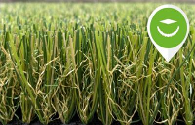 Chine Gazon faux de aménagement sain d'herbe artificielle extérieure bouclée de monofil à vendre