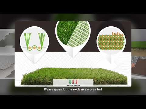 All Victory Grass (Guangzhou) Co., Ltd Introduction Video