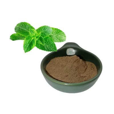 China Natural Plant Extract Peppermint Leaf Extract Peppermint Extract Powder Mint Leaf Powder for sale