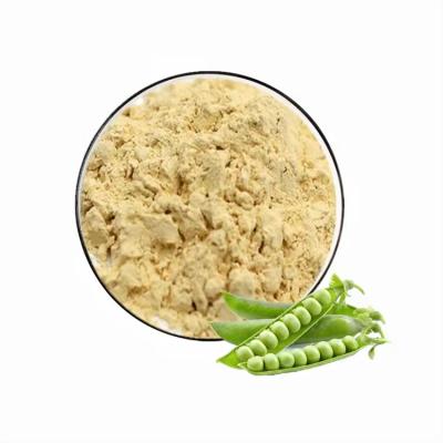 China Pisum Sativum Natural Plant Extract Powder Green Pea Powder for sale