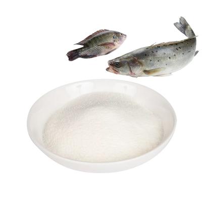 China Herblink Supply 99% Protein Content Bulk Fish Collagen Peptide Fish Collagen Powder for sale