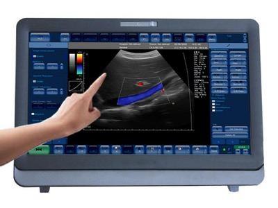 Cina Portatile medico del sistema di ultrasuono di doppler di colore 3D/4D con il monitor a 15 pollici del LED in vendita