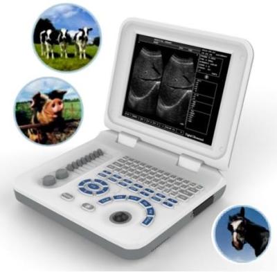China Animal Veterinary Ultrasound Scanners 5.0Mhz Micro Convex Probe Rectal Probe for sale