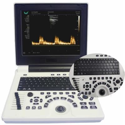 China 12in LCD Display Veterinary Ultrasound Equipment For Large Animals FDA ISO for sale