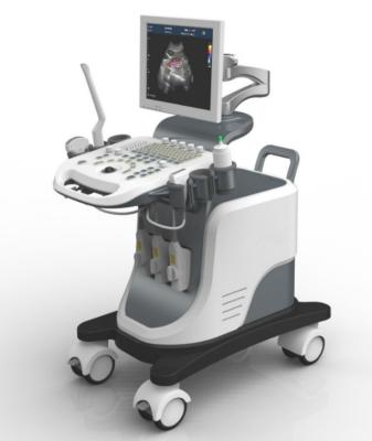 China Full Digital Trolley 4D Echo Ultrasound Machine With LED Screen for sale
