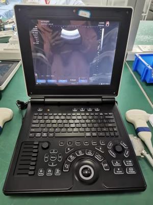China OEM Doppler Veterinary Ultrasound Machine Scanner Pig Cat Vet for sale