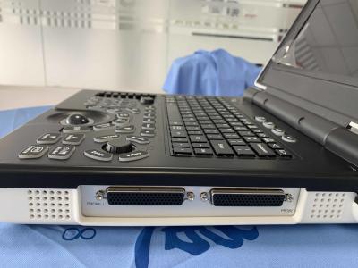 China Windows7 Laptop Doppler Ultrasound Machine  Imaging 12in With Dual Transducer for sale