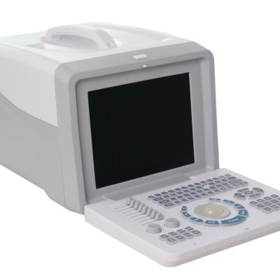 China Durable 2D Echo Portable USG Machine For Physiotherapist Convex Linear Probe for sale