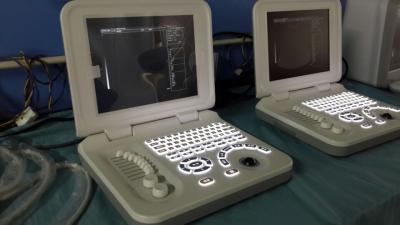 China Notebook Veterinary Ultrasound Machines Digital Ultrasound Scanner Rectal Probe for sale