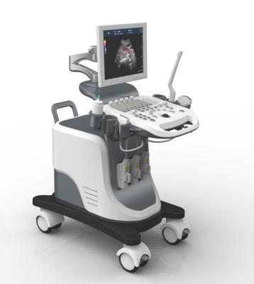 中国 Gynecologyのための完全なデジタル トロリー4Dエコーの超音波機械 販売のため