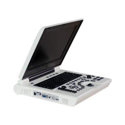 China B/W Portable Laptop Ultrasound Machine Veterinary Li Battery ISO for sale