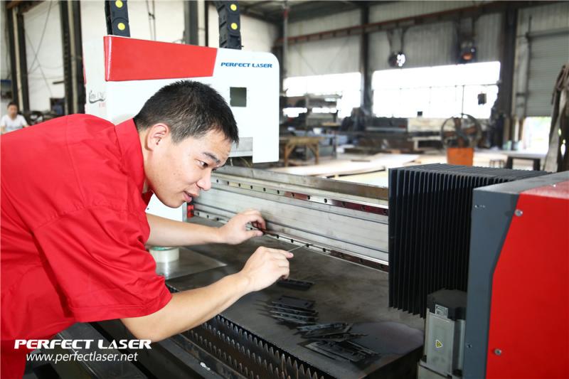 Проверенный китайский поставщик - Perfect Laser (Wuhan) Co.,Ltd.