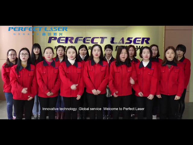China Perfect Laser Suppliers for Fiber Lasers Manufacturers and Distributors