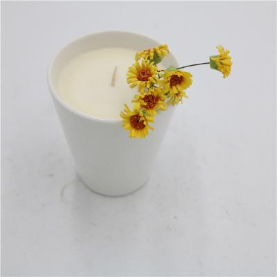 China 6oz Simple White Nature Ceramic Soy Candle Aromatherapy Jar Candle for sale