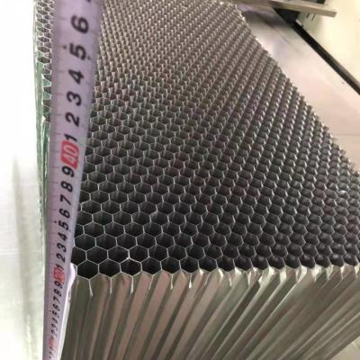 China High Compressive Strength 10MPa Aluminum Honeycomb Materials For Car Collision Avoidance Test for sale