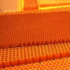 Chine Âme en nid d'abeilles de Para Aramid ultra de haute résistance et rigidité à vendre