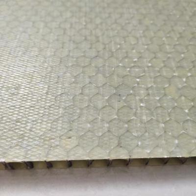 China Light Weight FRP Honeycomb Sandwich Panel 1000x2000mm for sale