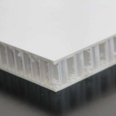 China Lightweight Polypropylene Honeycomb Core FRP Panels For Van Wall Panel And Floor for sale