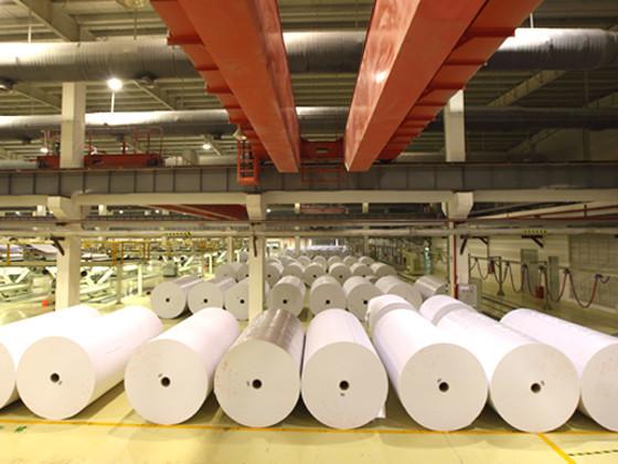 Verified China supplier - Hebei Ruipeng Trading Co., Ltd