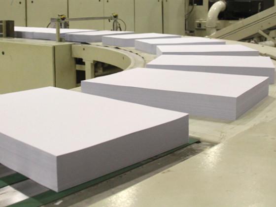 Verified China supplier - Hebei Ruipeng Trading Co., Ltd