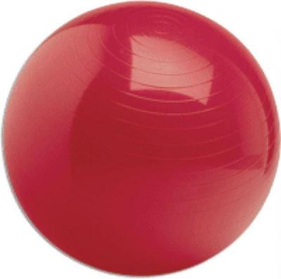 China 65cm 1200g 300kgs Yoga Fitness Swiss Ball for sale