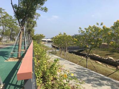 China stable Prefabricated Steel Frame pedestrian Truss Bridge Construction for stream en venta