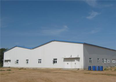 China Double Span Light Weight Steel Frame Storage Buildings Construction Project for sale