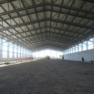 Chine Cages de poulet de encadrement légères de bâtiments d'entrepôt en métal de structure métallique pour Philippines à vendre