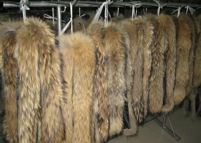 China Raccoon fur collar tanned raccoon dog real fur skin long hair Chinese Raccoon fur for sale