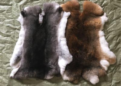 China Tanned Grass Rex Rabbit Skin Fur Customized Size For Accessories / Clothing for sale