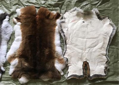中国 せん断されたウサギの毛皮のコートの使用法、柔らかい毛の衣服のための白いウサギの毛皮の毛皮 販売のため