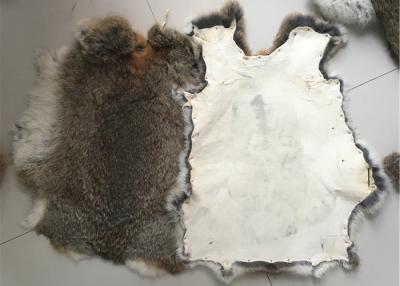 China Eco Friendly Tanned Rex Rabbit Skin 1.5-3 Cm Fur Length For Home Textile / Pillows for sale