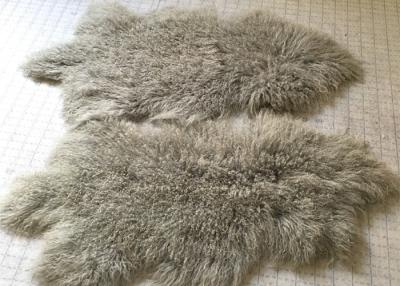 China Tibetan Lamb Mongolian Fur Fabric For Throw Pillow Grey 60 * 90cm for sale
