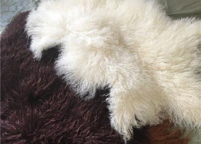 China Long curly Sheepskin Material Natural White Tibetan lambswool Mongolian fur hides for sale