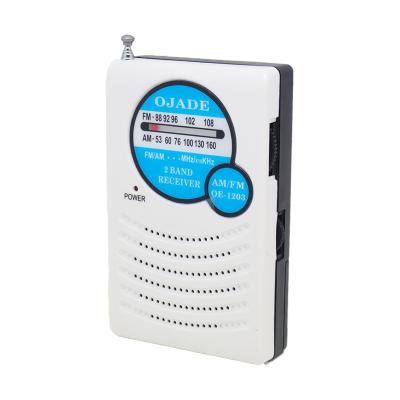 China DSP Chips Small Digital AM FM Radio FM88 AM FM Battery Radio Built In Speaker for sale
