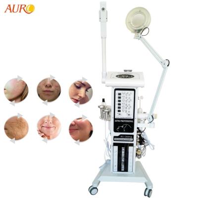 China 16 In 1 Multi Function Beauty Salon Instrument Magnifying Lamp Facial Steamer Ozone en venta