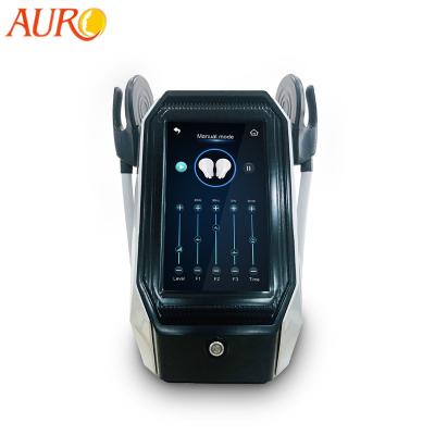 China Electromagnetic Weight Loss EMS Muscle Stimulator Machine For Beauty Equipment for sale