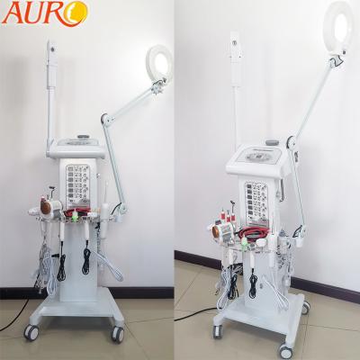 China Face Lift Steamer Ozone High Frequency Machine 14 In 1 Magnifying Lamp for sale